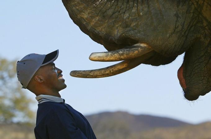 In southern and eastern African countries, wildlife safari is the backbone of the respective tourism industries. However, the Ebola outbreak, which has taken place miles away, in West Africa, has caused prejudice in the minds of the international tourists. Hence the travel industry seems to be experiencing a drop of around 60 per cent in ticket bookings. Safari