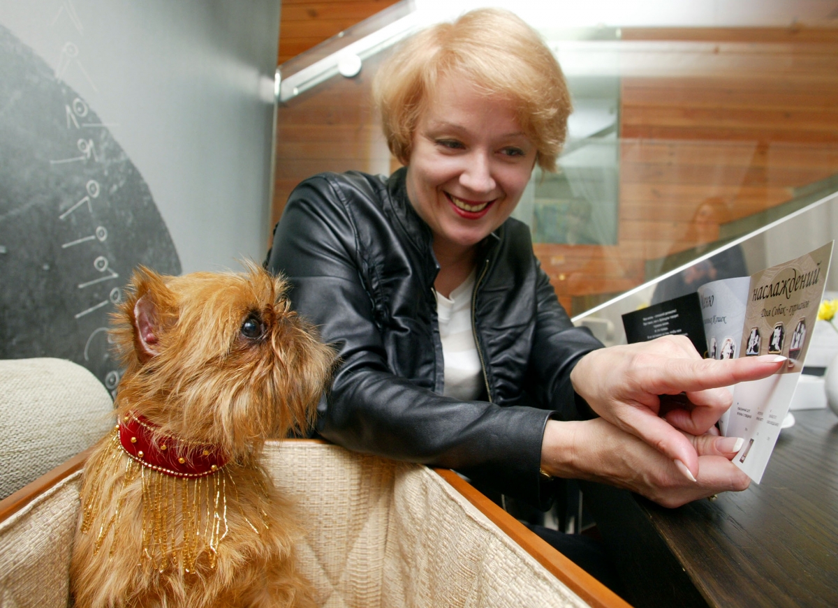 10 hotels and restaurants for Dogs