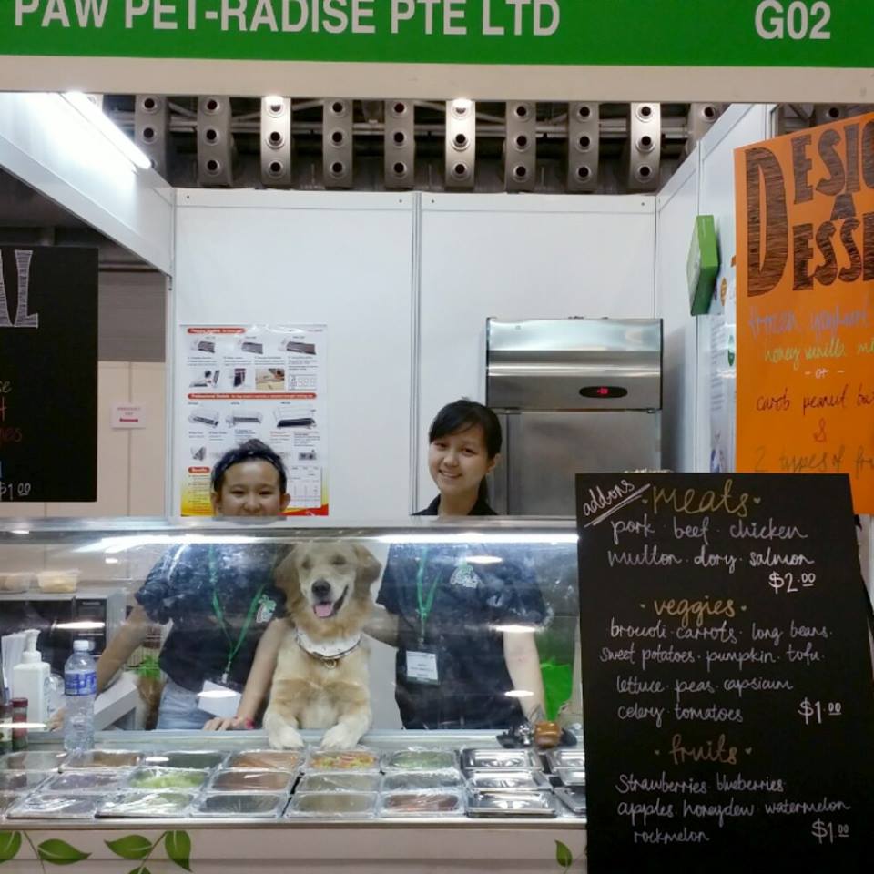 10 hotels and restaurants for Dogs