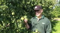 dutch-food-producers-hit-by-russian-embargo
