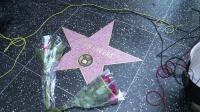 joan-rivers-queen-of-us-comediennes-dies-aged-81