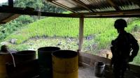 colombian-army-troops-try-to-step-up-coca-eradication