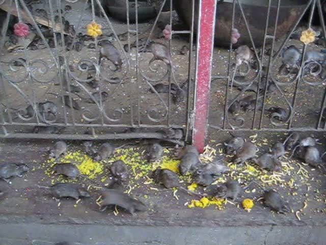 Incredible Places in India