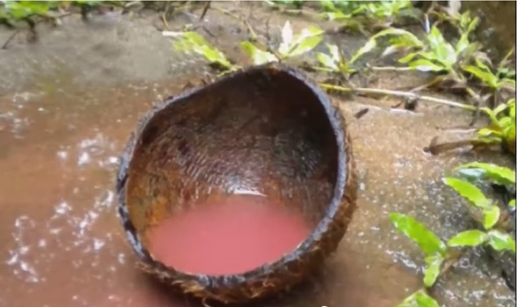 Incredible Places in India