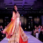 tanvi-vyas-the-perfect-muse