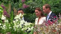 prince-william-kate-expecting-second-baby
