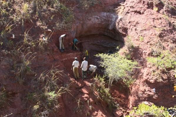 The team worked in a steep quarry in the Rukwa Rift Basin to recover the dinosaur fossils. Rukwatitan bisepultus dino