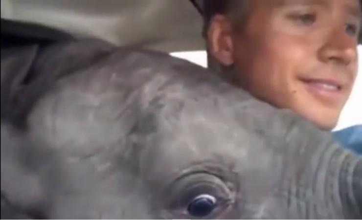 Baby Elephant is rescued by Gary Roberts from poachers in Central Africa Baby Elephant flies in a Small Aircraft