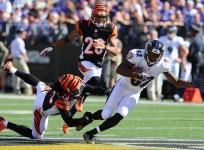 baltimore ravens