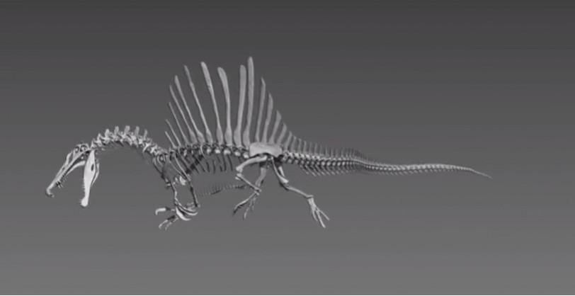 Digital model of Spinosaurus Digital model of Spinosaurus