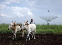 Agriculture India