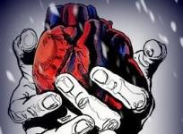 Heart