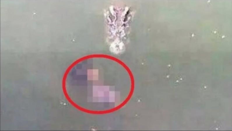 Thai Woman Died, Jumped into A Pond of 1Lakh Crocodiles