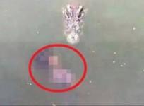 Thai Woman Died, Jumped into A Pond of 1Lakh Crocodiles
