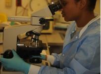 urine, blood test, lab