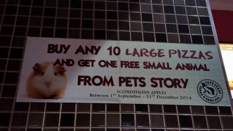 Pizza Hut's hamster campaign fails