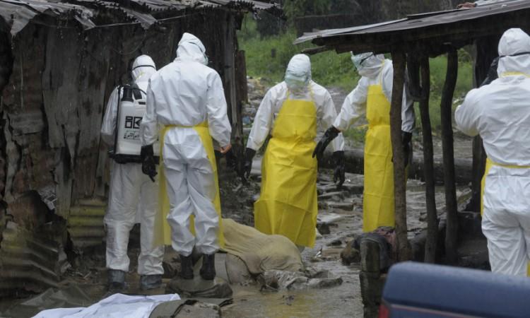 Health workers prepare to carry an abandoned dead body with Ebola symptoms at Duwala market in Monrovia, Liberia.