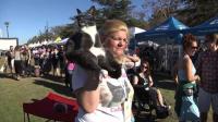 cat-lovers-flock-to-los-angeles