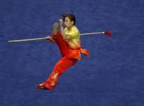 wushu