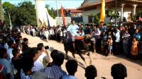 buffalo-race-wrestling-to-commemorate-the-dead-in-cambodia