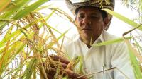 crazy-climate-forces-colombian-farmers-to-adapt