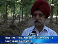 floods-and-sand-deposits-ruin-farmer-s-crops-in-amritsar