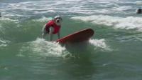 annual-dog-surfing-competition-draws-california-crowds