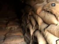 Food grains Food grains