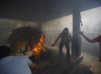 Inhale Smoke from Burning Body, Remedy for Dog Bite in Madurai