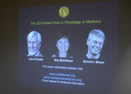 American-British scientist John O´Keefe and Norwegian scientist couple May-Britt Moser and Edvard I Moser won the 2014 Nobel Prize in Medicine Nobel Prize Medicine