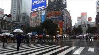 Typhoon Phanfone slams into Japan