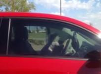 Elderly Beggar Caught Driving Brand New Car