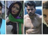 Arya Babbar, Karishma Tanna, Gautam Gulati, Minissha Lamba