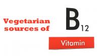 vegetarian-sources-of-b12