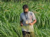 SS Rajamouli Denies Making Movie Based on Kannada Novel