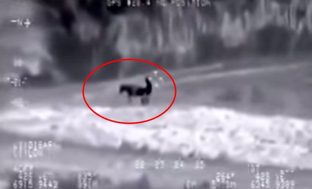 The footage shows the heat signatures given off by the animal and a man, who appears to be having intercourse with it.
