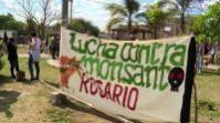 Argentine ecologists block construction of Monsanto plant