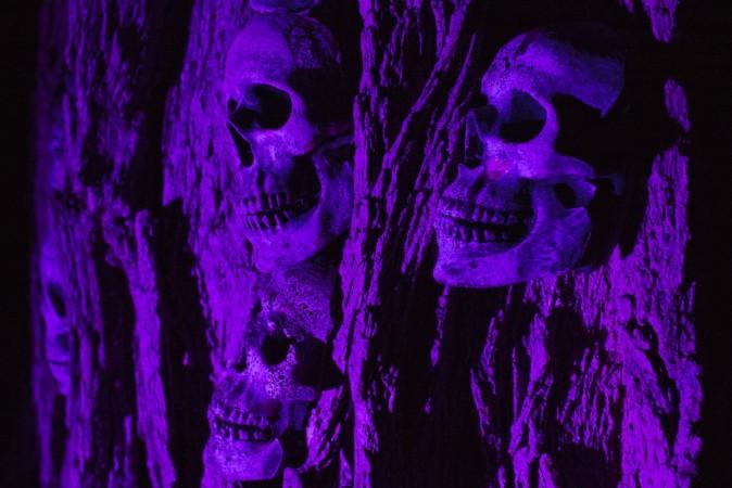 Best Halloween Attraction Places 2014 Best Halloween Attraction Places; 2014's Scariest Haunted Houses