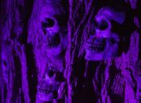 Best Halloween Attraction Places; 2014's Scariest Haunted Houses