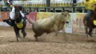 File photo Latino cowboys gather in Colombia for Coleo's World Cup