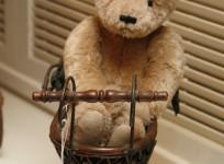 Burglar Had Sex with Teddy Bear during Break-in, Leaves His DNA Behind