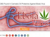 The claims that Marijuana cures ebola is a viral hoax as there is no scientific research conducted on the subject.
