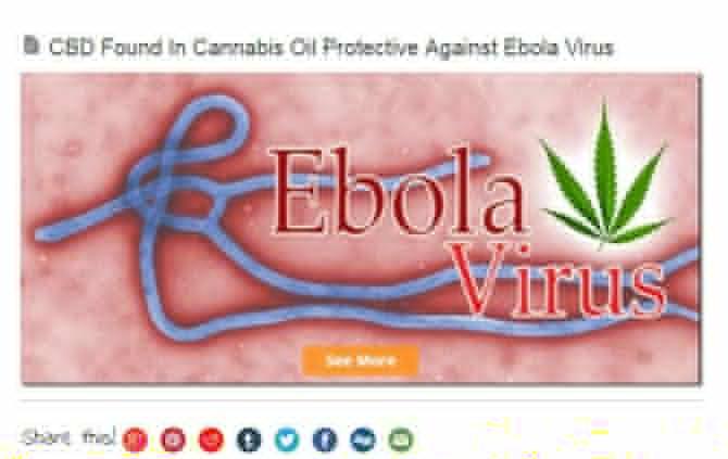 The claims that Marijuana cures ebola is a viral hoax as there is no scientific research conducted on the subject. The claims that Marijuana cures ebola is a viral hoax as there is no scientific research conducted on the subject.