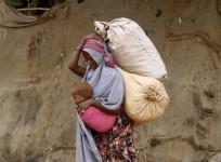 On World Food Day 2014, lets have a look at 8 facts and 5 quotes that will melt your heart.