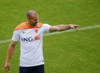 Ron Vlaar