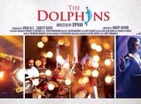 Dolphins
