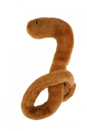 Ebola virus plush toys sold a Giantmicrobes Inc. Ebola virus plush toys sold a Giantmicrobes Inc.