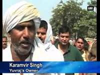 heavyweight-bulls-fetch-millions-at-all-india-cattle-show-in-up