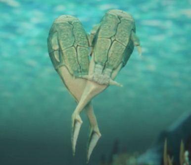 First act of sex by couple of primitive bony fish named Microbrachius dicki origin of sex