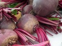 Beetroot